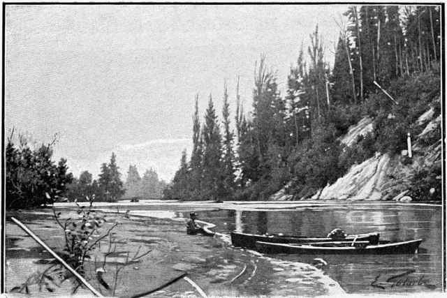 EMBOUCHURE D'UN CREEK.—DESSIN DE GOTORBE, PHOTOGRAPHIE DE LA ROCHE, À SEATTLE.