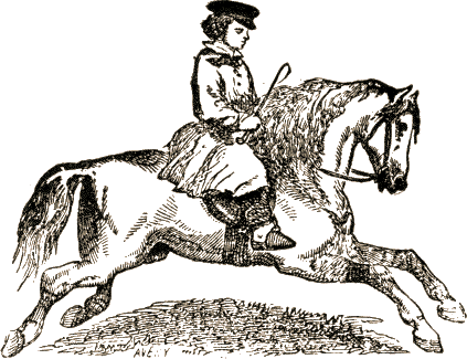 boy riding horse