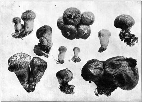 Figure 465.