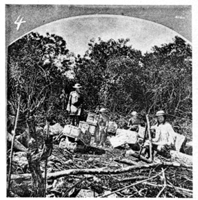 Group of people seated among sculptured blocks