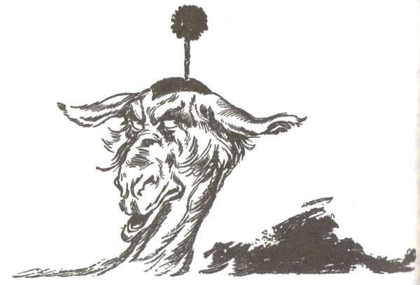 The Doubtful Dromedary