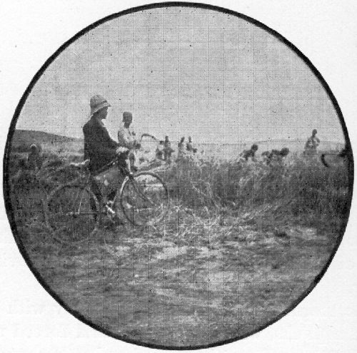 HARVEST SCENE NEAR KHOI.