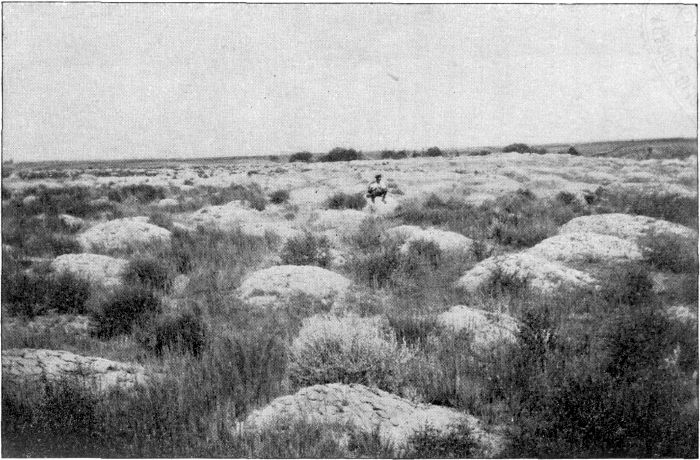 A CHINESE GRAVEYARD ON THE EASTERN OUTSKIRTS OF KULDJA.