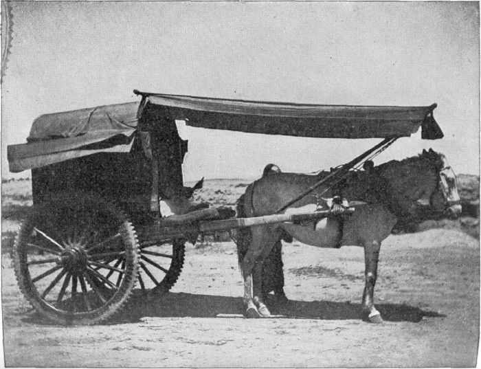 STYLISH CART OF A CHINESE MANDARIN.