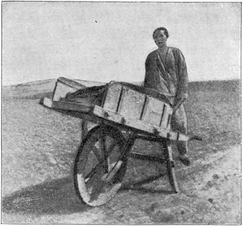 A CHINAMAN'S WHEELBARROW.