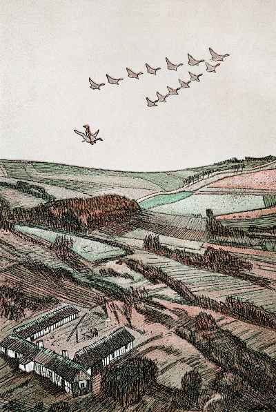 Das gewürfelte Tuch