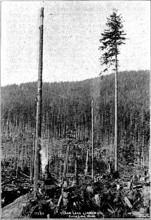 The Flying Machine as now used in Western logging.