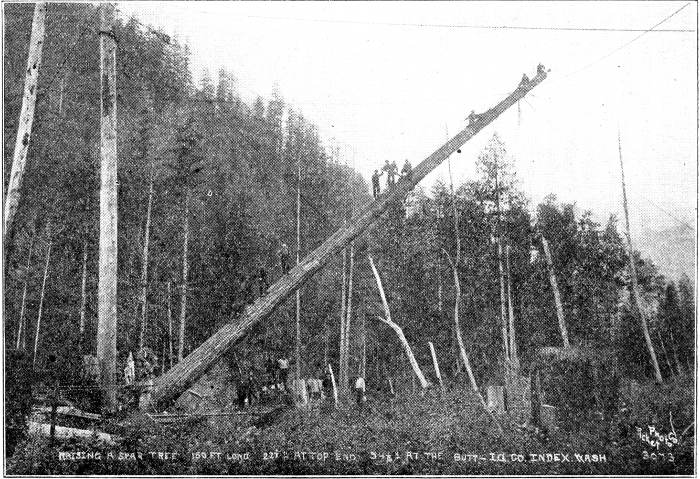 An all-I. W. W. crew raising a spar tree 160 ft. long, 22-1/2; inches at top and 54-1/2; inches at butt, at Index, Wash.