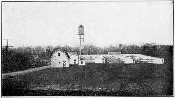 PASSAIC VALLEY SQUAB FARM, CALDWELL, N.J.