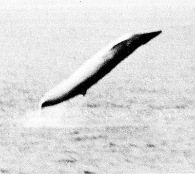 Fin whale (or Bryde's whale) breaching. Linked to larger image of Figure 20.
