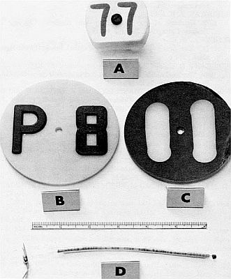 Basic tag types. Linked to larger image of figure A1.