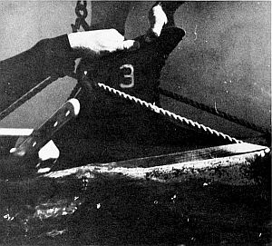 Freeze-branding. Linked to larger image of figure A6.