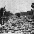 Author on Road to La Gloria. (Jan. 8, 1900.)