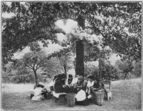 Team Work in Potato Paring