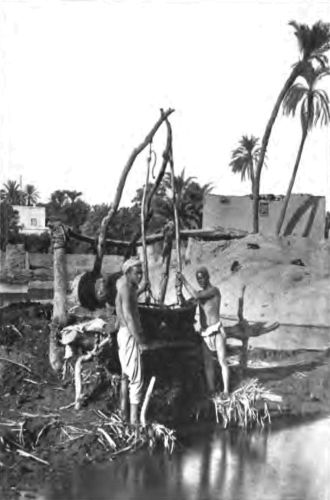 THINK OF WATERING A WHOLE WHEAT-FIELD WITH A WELL-SWEEP AND A PAIL