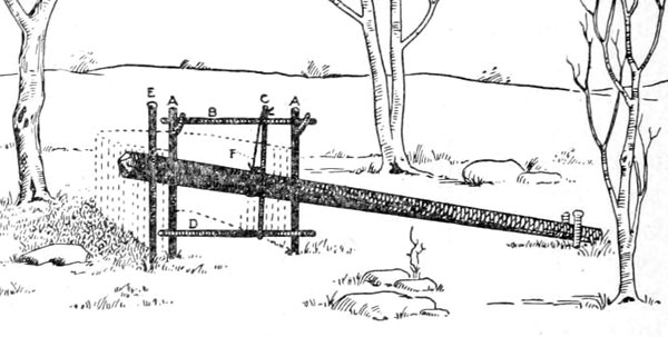 STRING AND TRIGGER TRAP.