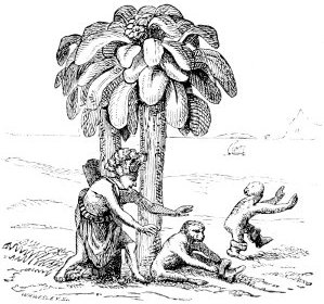 siehe Bildunterschrift