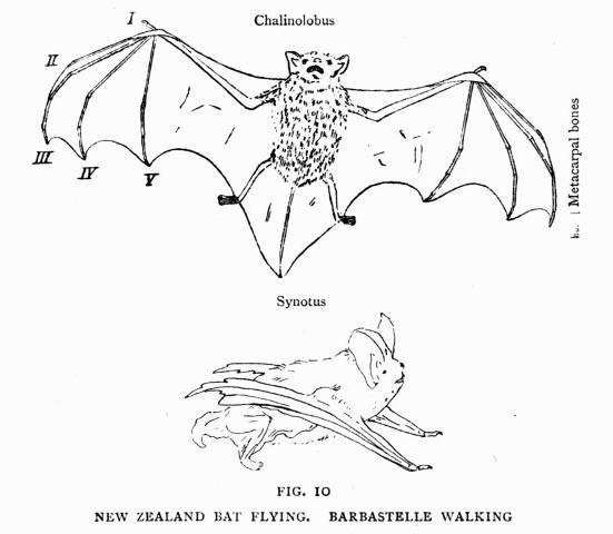 FIG. 10