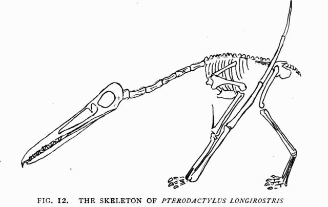 FIG. 12.