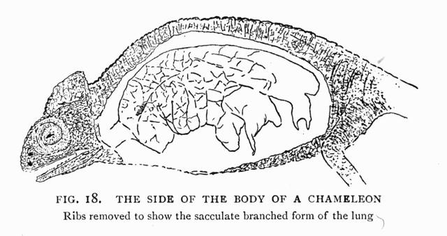 FIG. 18.