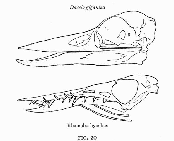 FIG. 20