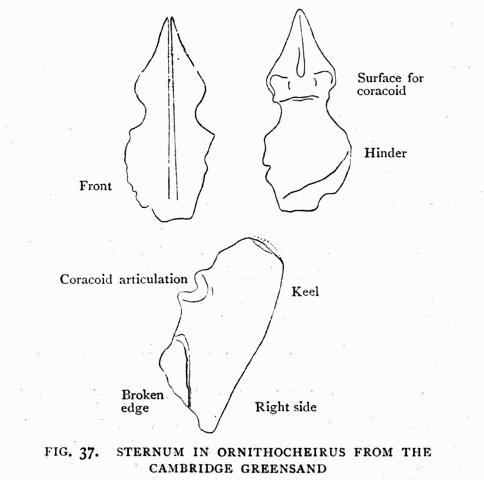 FIG. 37.