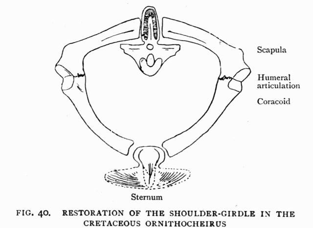 FIG. 40.