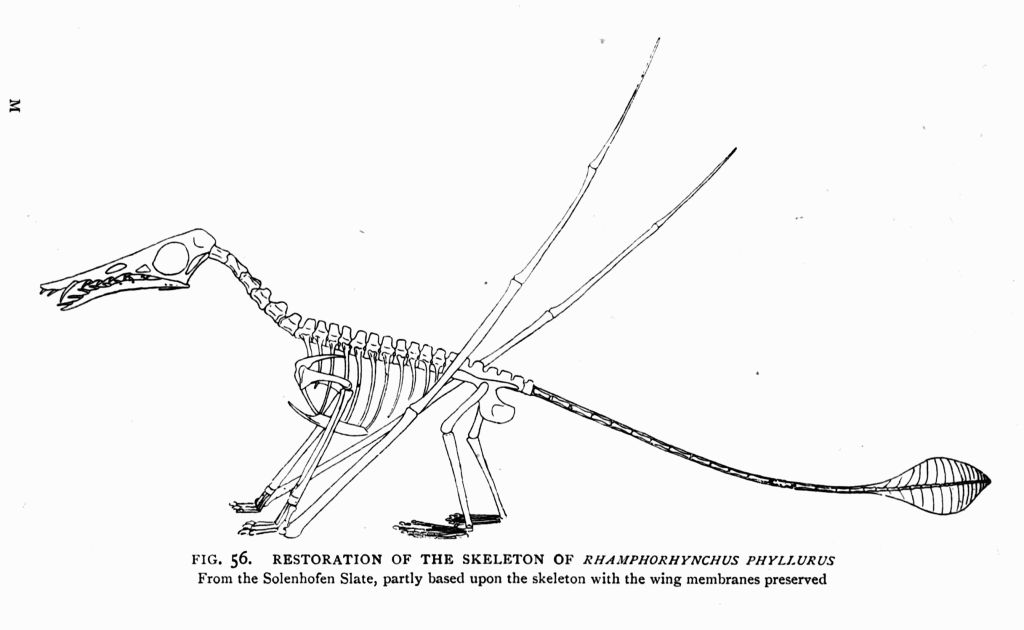 FIG. 56.