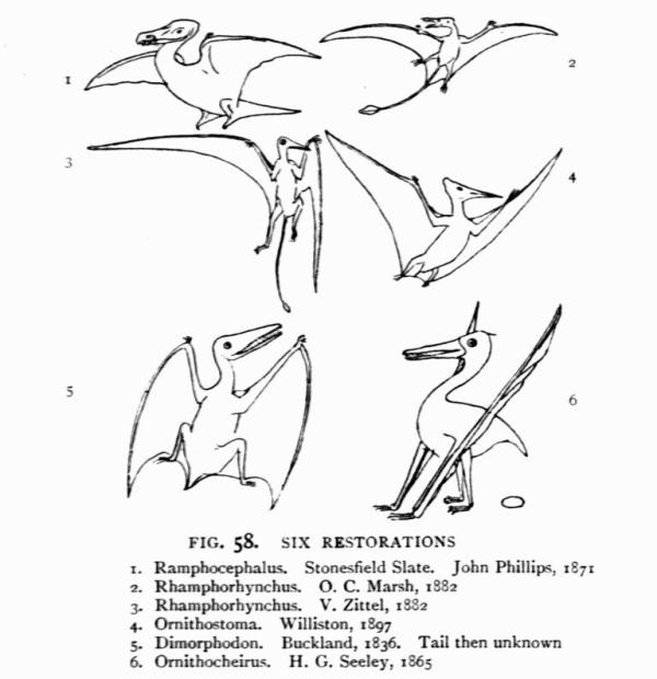 FIG. 58.