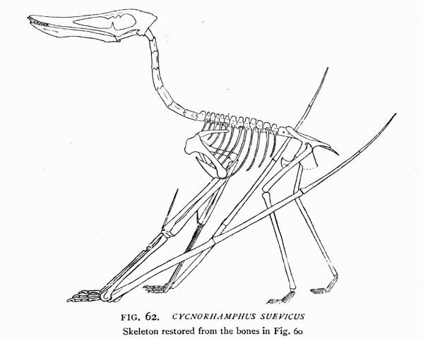 FIG. 62.