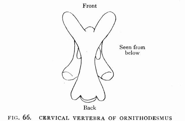 FIG. 66.