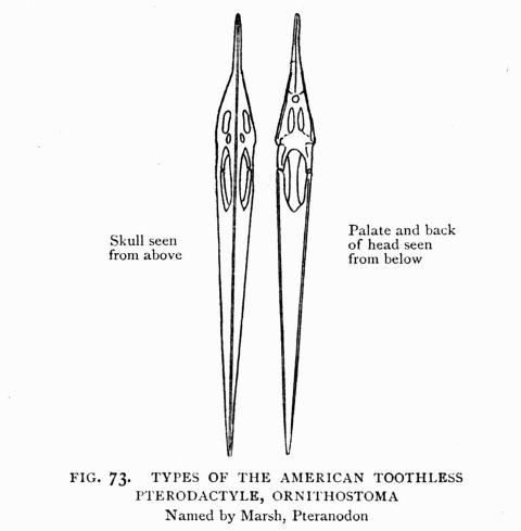 FIG. 73.