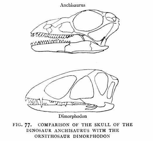 FIG. 77.