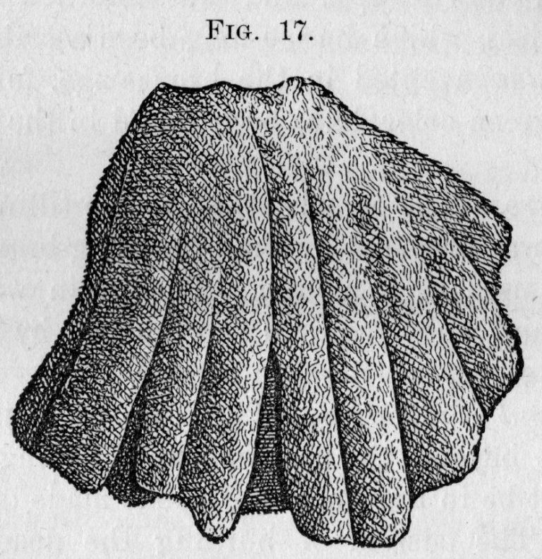 Fig. 17.