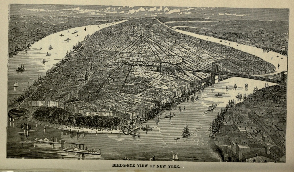 BIRD'S-EYE VIEW OF NEW YORK.