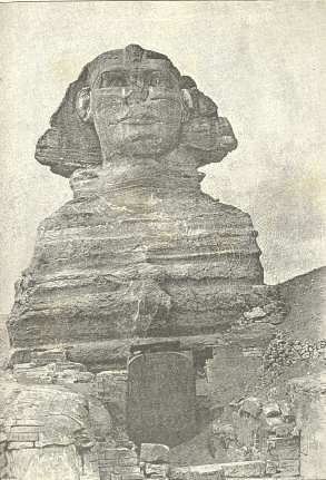 The Great Sphinx. (From a photograph taken by Dr. W. Ogle, February, 1888)