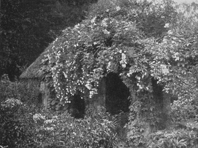 Outside View of the Brick Pergola shown at Page 214, after Six Years' Growth.