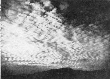 Alto-Cumulus