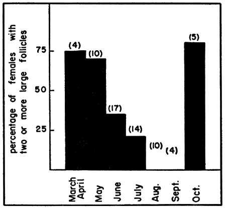 Fig. 5. The seasonal occurrence of enlarged ovarian follicles in females Fig. 5. The seasonal occurrence of enlarged ovarian follicles in females