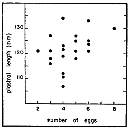 Fig. 6. The relation of plastral length to number of eggs laid Fig. 6. The relation of plastral length to number of eggs laid
