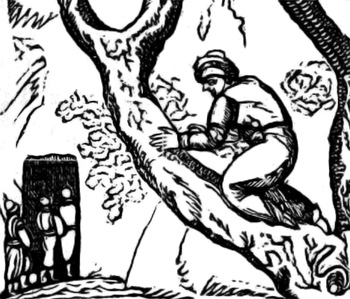 Ali Baba hiding in a tree