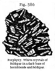 Fig. 586: Porphyry. White crystals of feldspar in a dark base of hornblende and feldspar.