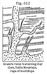 Fig. 612: Granite veins traversing clay slate, Table Mountain, Cape of Good Hope.