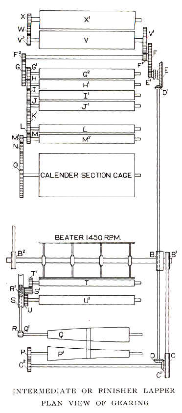 [Illustration]