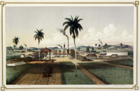 Dibujado y litogrdo por Edo LAPLANTE  publicado por L. Marquier y Laplante Obra-pia nº 121-1/2 Habana.  Litografía del L. MARQUIER.  INGENIO SN.