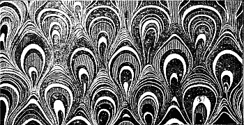 Fig. 48—Eye marbling.