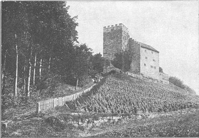 THE OLD HABSBURG CASTLE (CANTON AARGAU).