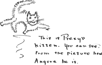 This is Prexy’s kitten. You can see from the picture how Angora he is. This is Prexy’s kitten. You can see from the picture how Angora he is.