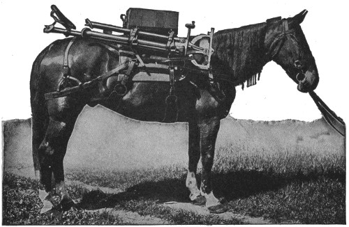 Machine gun packed on saddle