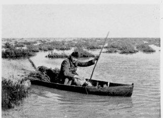 Gunning-punt in the Marisma.  (NOTE THE HALF-SUBMERGED SAMPHIRE-BUSHES.)